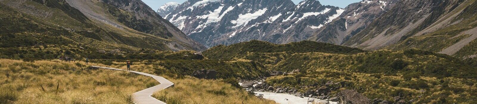 brown wooden pathway surrounded by brown field towards mountain